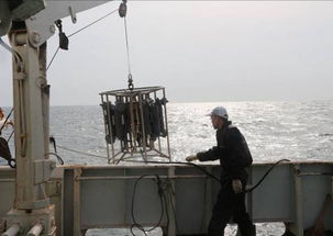 黄渤海生物资源调查与养护技术研究 2010年度第一次工作会议在烟台成功举行