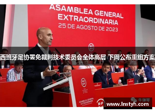 西班牙足协罢免裁判技术委员会全体高层 下周公布重组方案