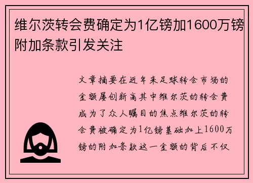 维尔茨转会费确定为1亿镑加1600万镑附加条款引发关注