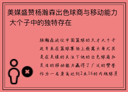 美媒盛赞杨瀚森出色球商与移动能力 大个子中的独特存在